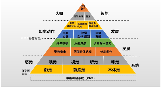 家长如何帮助自闭症孩子丰富语言？.png